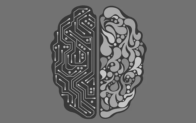 AI 뇌과학